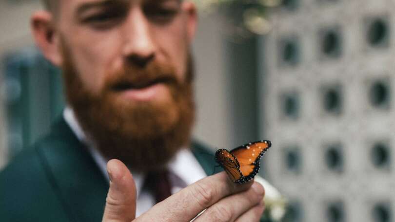 HAPPINESS AND BUTTERFLY