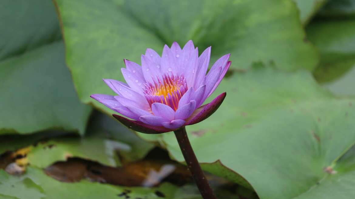 What is spirituality?