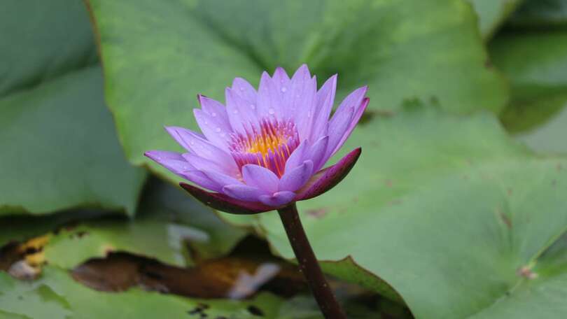 What is spirituality?